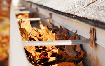 Intake gutter cleaning companies
