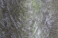 Intake fibreglass roof work